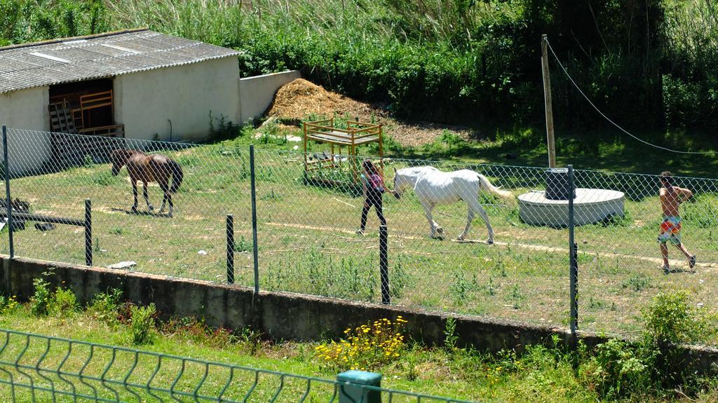 Quinta Do Forno Séjour à la campagne *