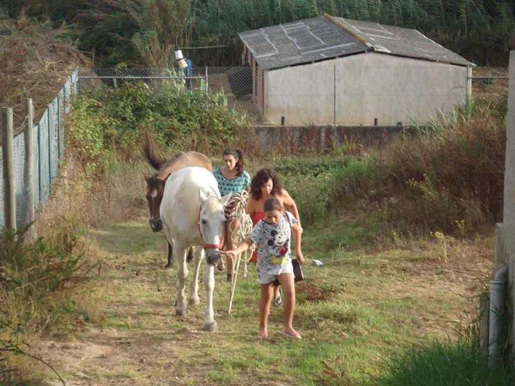 Séjour à la campagne Quinta Do Forno *